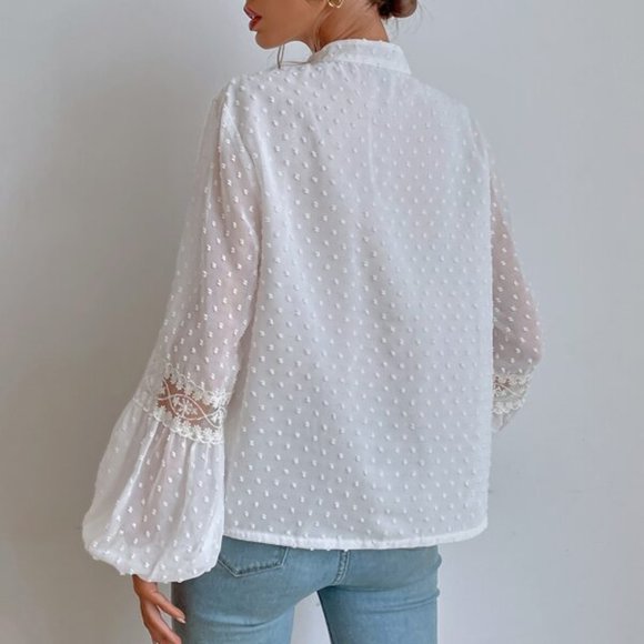 Swiss Dot Embroidery Mesh Lantern Sleeve Blouse - Picture 5 of 6